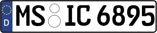 MS-IC6895