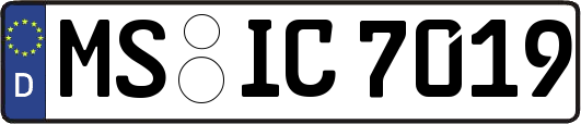 MS-IC7019