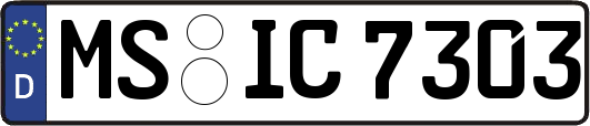 MS-IC7303