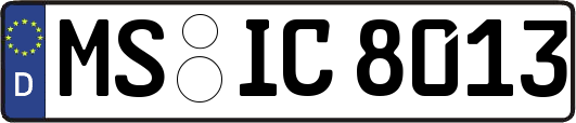 MS-IC8013