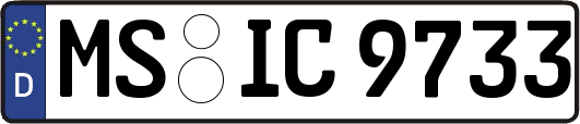 MS-IC9733