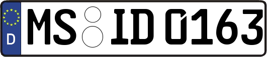 MS-ID0163
