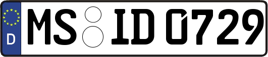 MS-ID0729