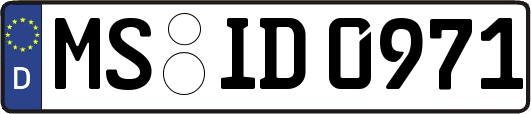 MS-ID0971