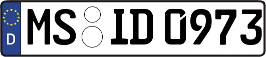 MS-ID0973