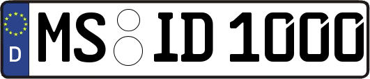 MS-ID1000