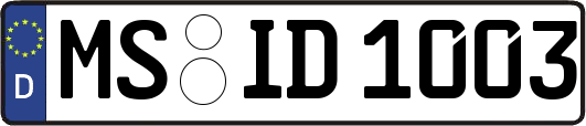 MS-ID1003