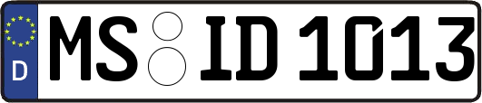 MS-ID1013