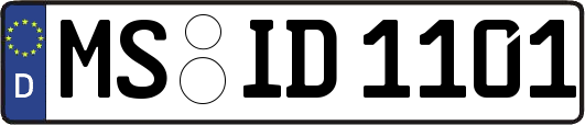 MS-ID1101