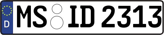 MS-ID2313