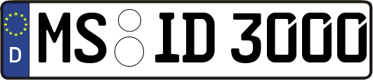 MS-ID3000