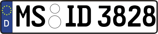 MS-ID3828