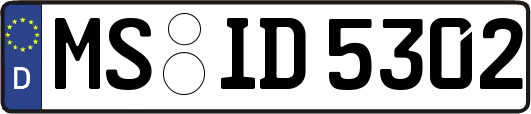 MS-ID5302