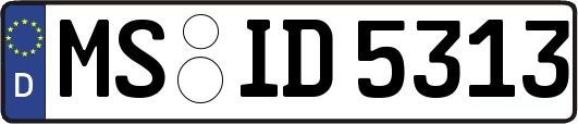 MS-ID5313