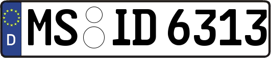 MS-ID6313