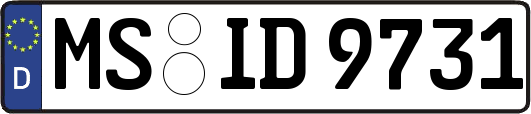 MS-ID9731