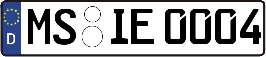 MS-IE0004