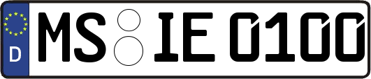 MS-IE0100