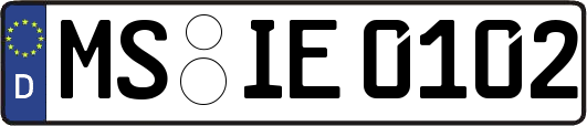 MS-IE0102