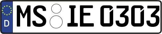 MS-IE0303