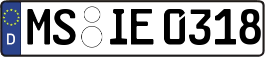 MS-IE0318