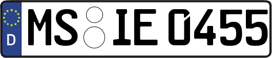 MS-IE0455