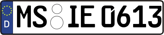 MS-IE0613