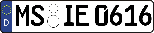 MS-IE0616