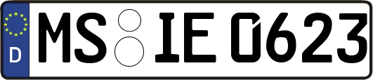 MS-IE0623