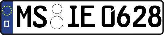 MS-IE0628