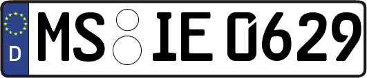MS-IE0629