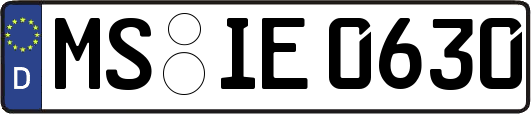 MS-IE0630