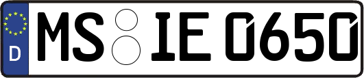 MS-IE0650