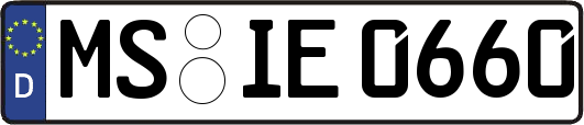 MS-IE0660