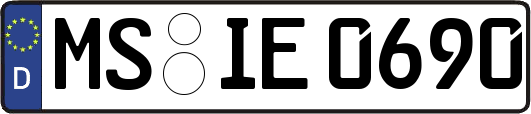 MS-IE0690
