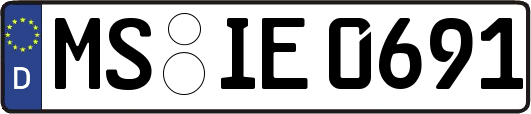 MS-IE0691