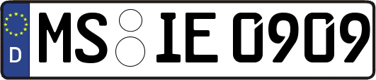 MS-IE0909