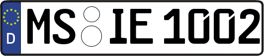 MS-IE1002