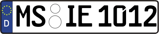 MS-IE1012