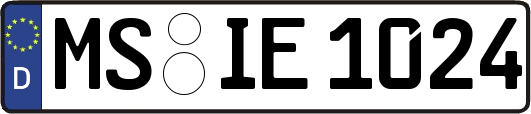 MS-IE1024