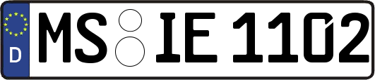 MS-IE1102
