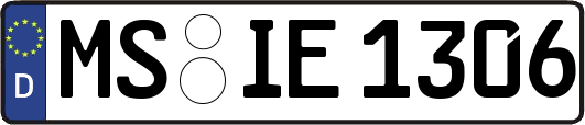 MS-IE1306