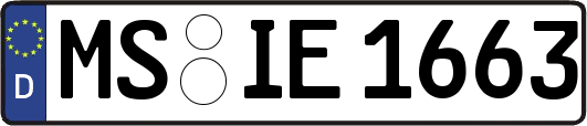 MS-IE1663