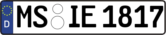MS-IE1817