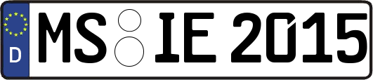 MS-IE2015