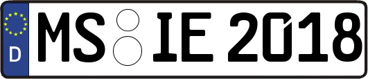 MS-IE2018