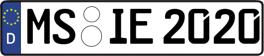 MS-IE2020