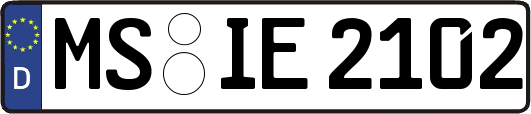 MS-IE2102