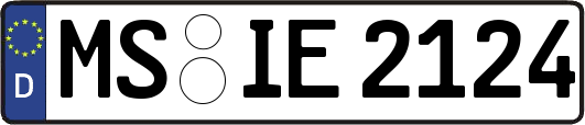 MS-IE2124