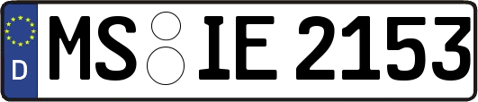 MS-IE2153